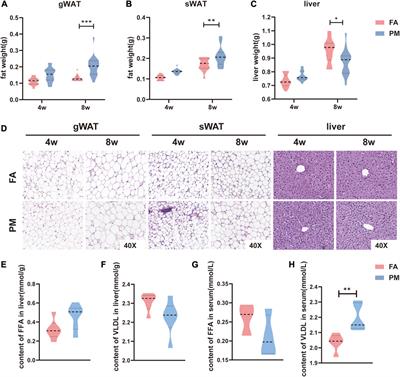 Multi-omics reveals hypertrophy of adipose tissue and lipid metabolism disorder via mitochondria in young mice under real-ambient exposure to air pollution